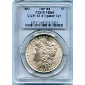 Morgan Silver Dollar (3)