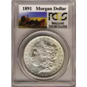 Morgan Silver Dollar (3)