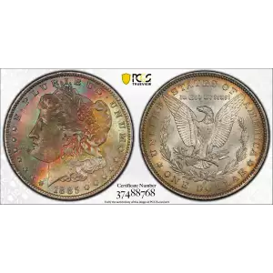 Morgan Silver Dollar (2)