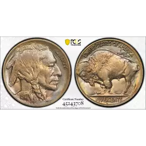 Nickel Five Cent Pieces-Indian Head or Buffalo (2)