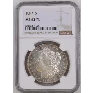 Morgan Silver Dollar (2)