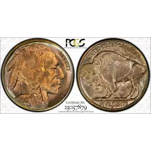 Nickel Five Cent Pieces-Indian Head or Buffalo (2)