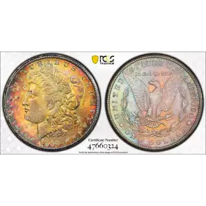 Morgan Silver Dollar (2)