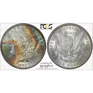 Morgan Silver Dollar (2)